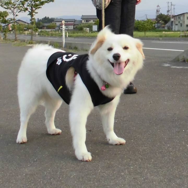 A37ac814 042d 40d0 902d b1afabfa3b4c