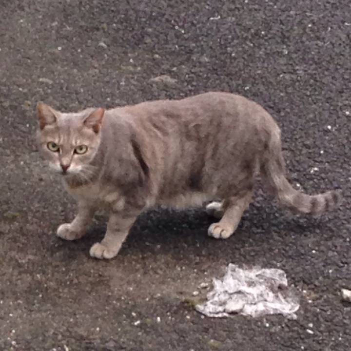 A37b225f ce7b 4885 b39e 5495f0b7f7a3