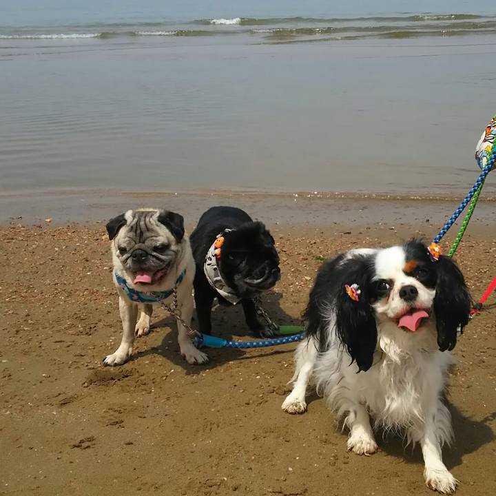 A37c291e d9fa 4c0c 9de9 12b3b767d13a