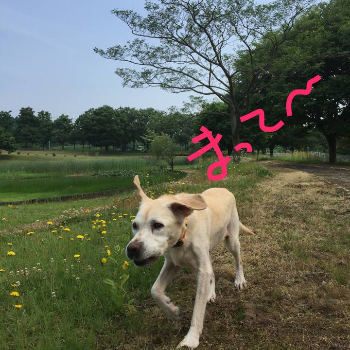 A37c32a9 734e 4938 a714 c4ae2dc6067d