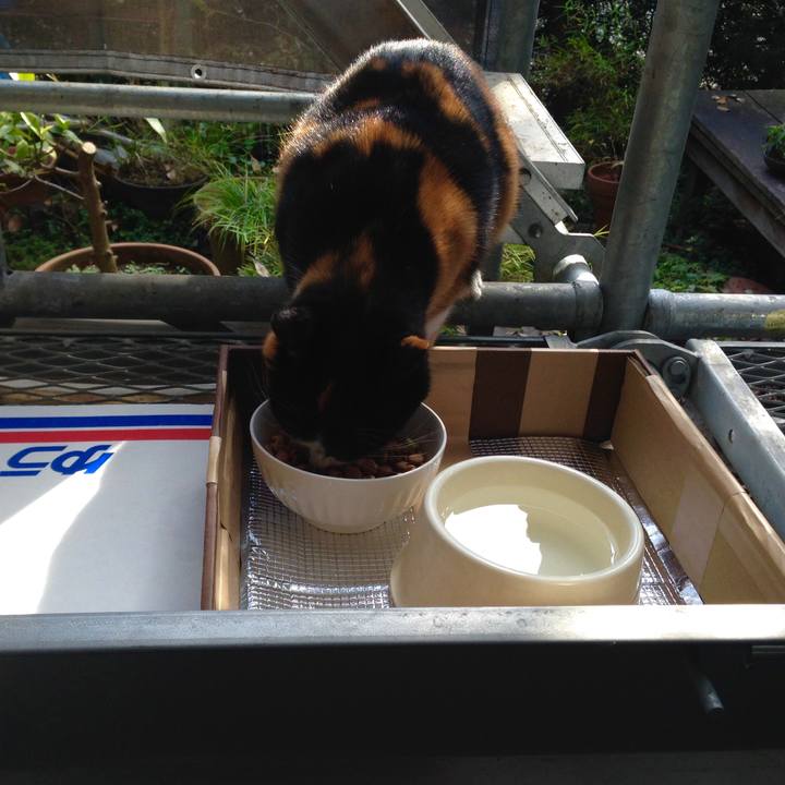 A37c4074 2ea6 4177 a393 36c422a7f16a