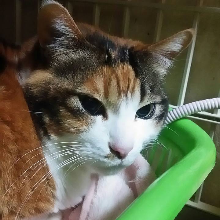 A37c95a5 a4fb 4d8e 8850 e53fbd7b4f82