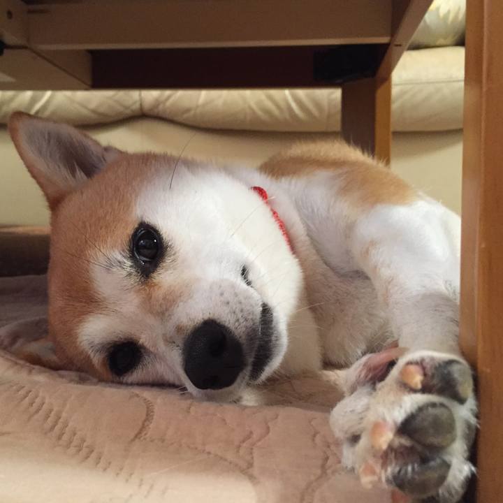 A37c9eb5 21b0 4902 b01b 5b9d671e7e7a