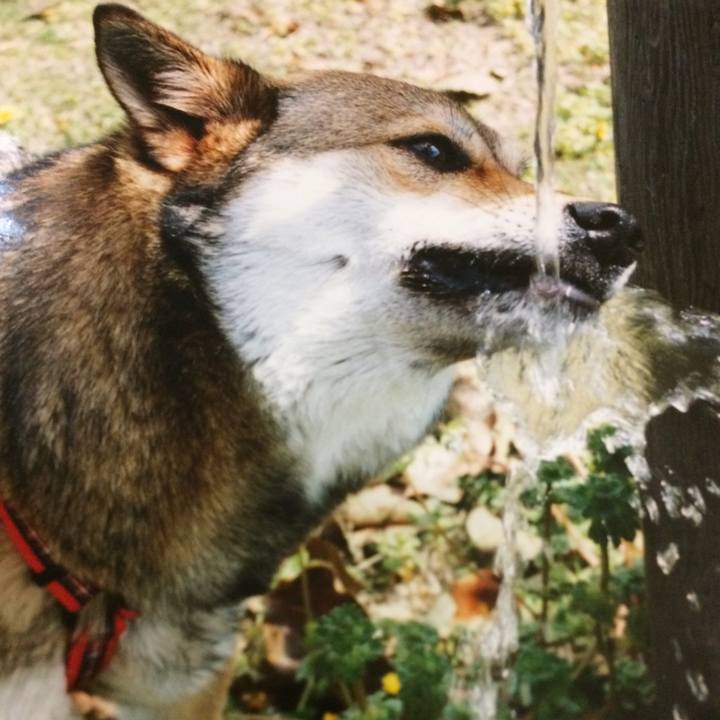 A37ca3b2 d21b 444d b4b6 ff7b2b9f346b