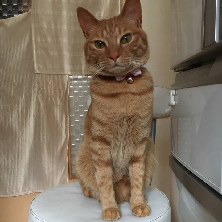 A37d592d e920 4a12 b070 ce566b1e26fc