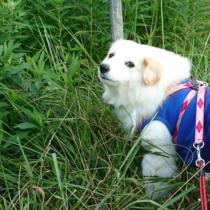 A37d5c67 16ed 4079 bb99 a361a8bd5149