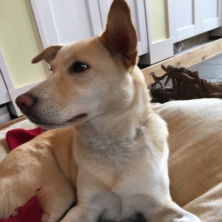 A37dc114 e316 4809 bd19 fcbd21433474