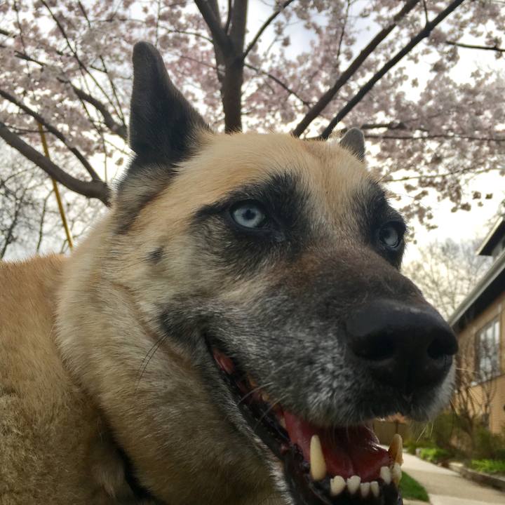 A37e2b15 b24b 4e4e 90e3 a42c55a429ca