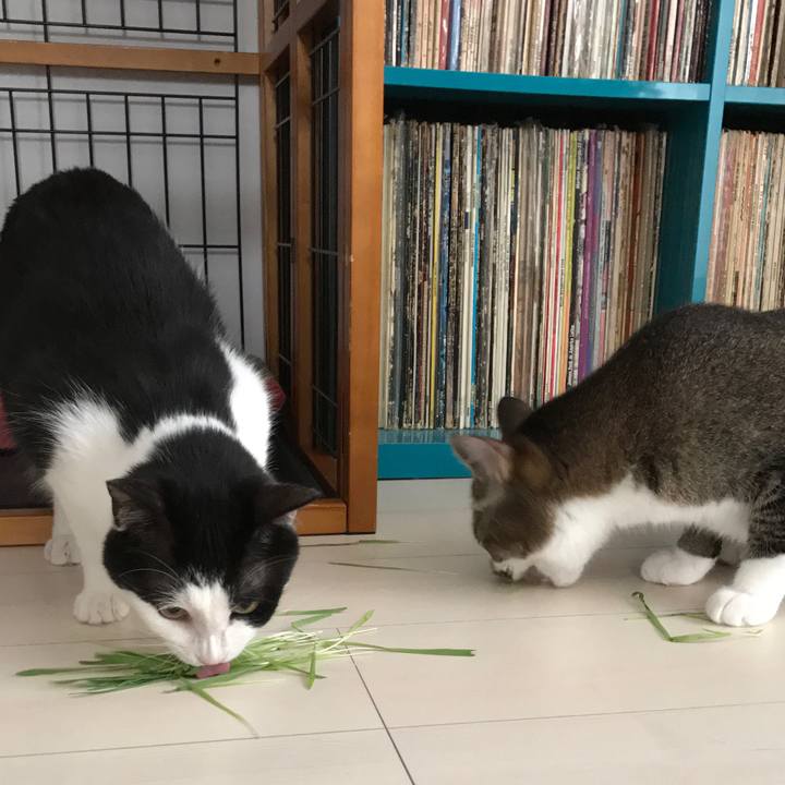 A37e320d 0619 409c baa6 08ae5b0c6e38