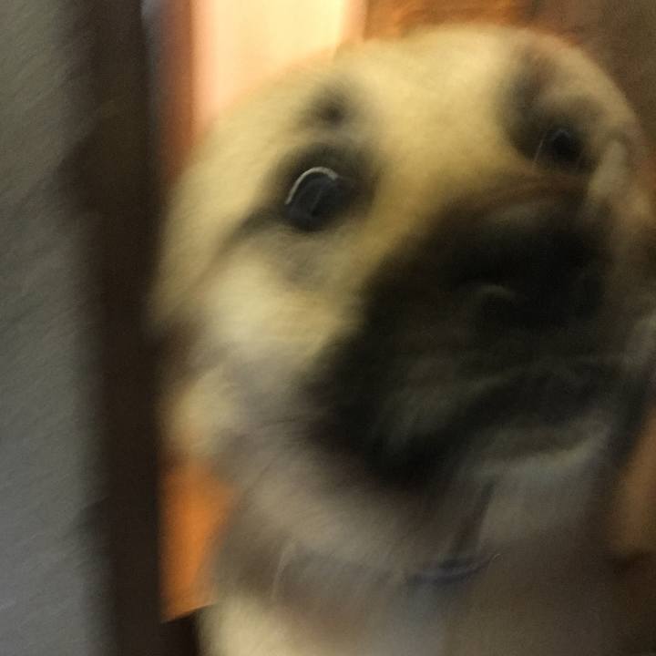 A37e6ae5 54ff 4710 b88a 8ec5d620741c