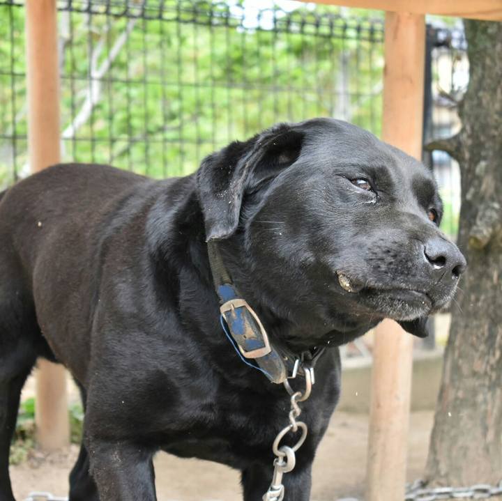 A37e8a7c 0514 4851 b156 bd9a3a68e570