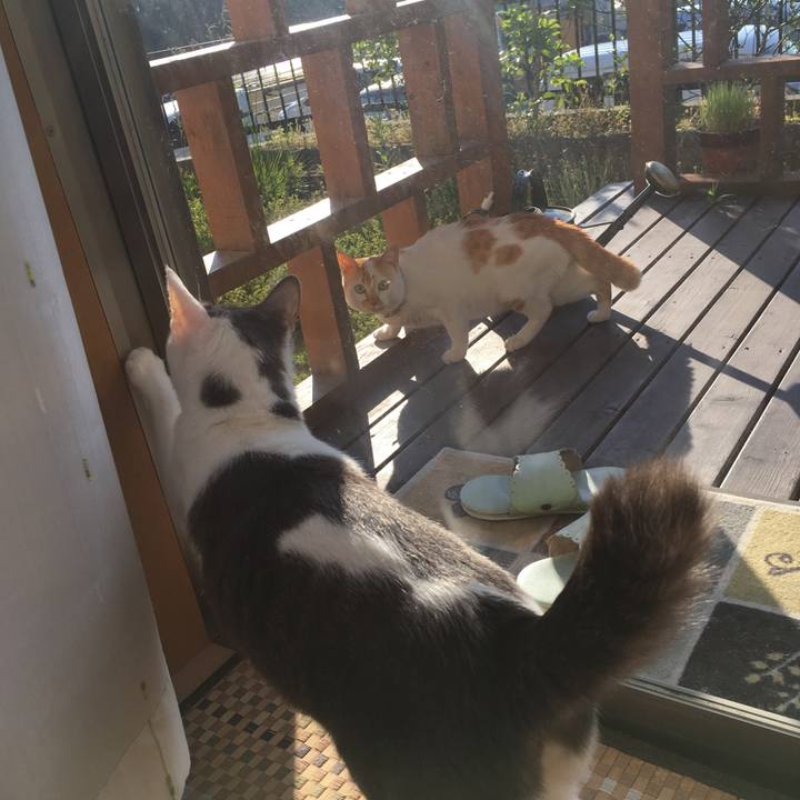 A37e9fba 3c8d 4207 8406 1af326d01b7f