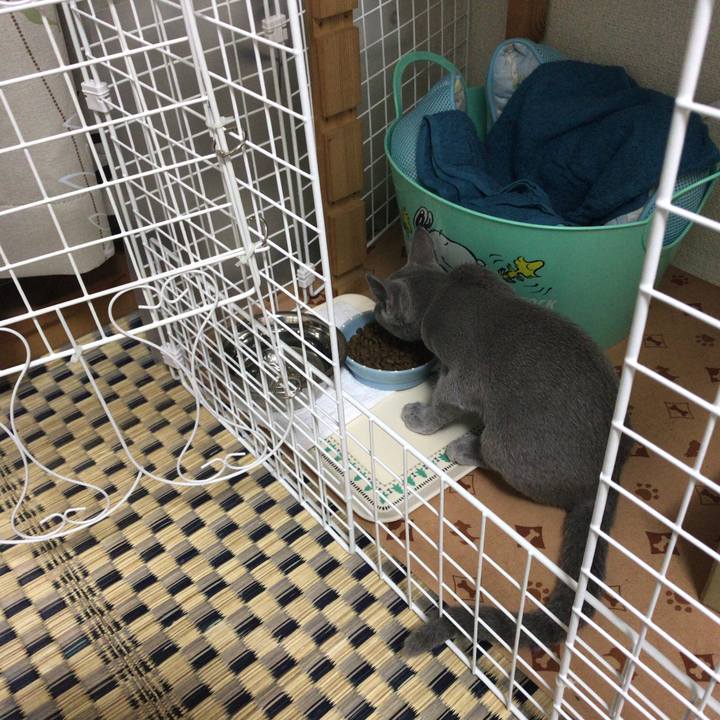 A37ef7b4 8da9 42a2 8634 bbc77b444dd0