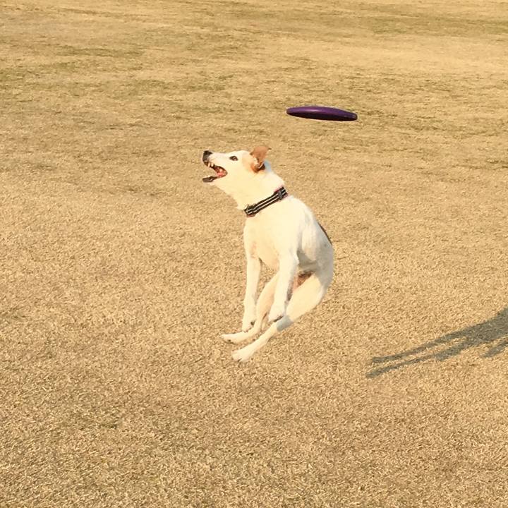 A37f2086 773e 4110 90cd a40c12f5d258