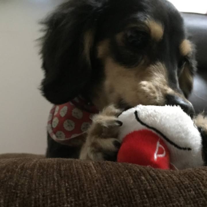 A37fc0dd fdbe 4590 b1ac f91bb02ee26e