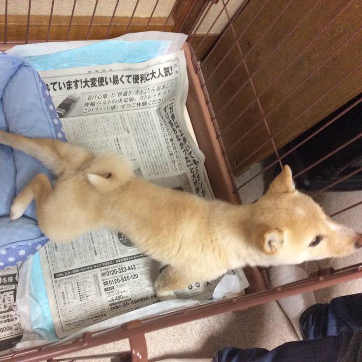 A38048d8 82a3 46aa b13b ac680a18bba4