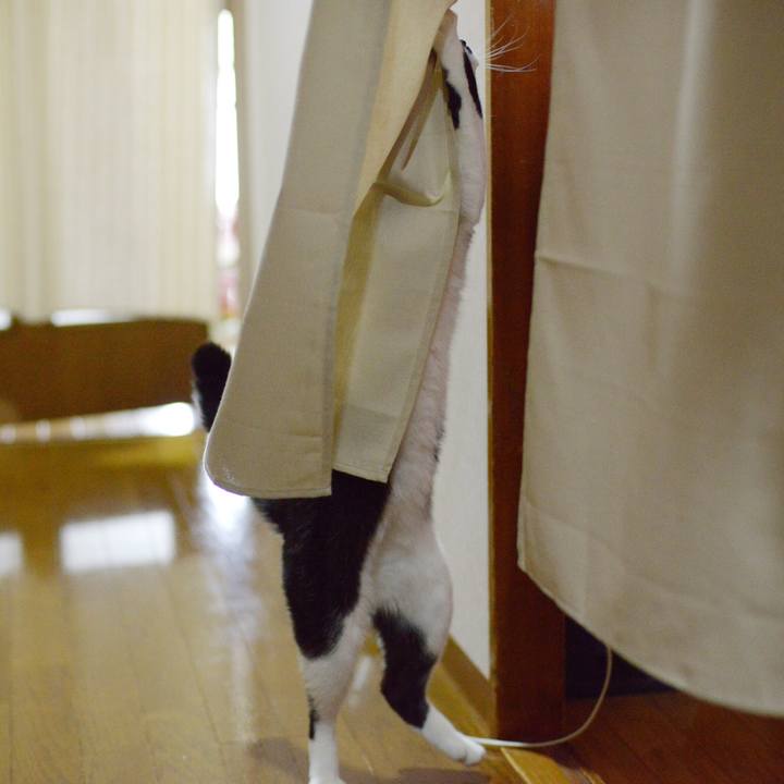 A3819eae 3070 45b5 82ca 49af13a6d58a