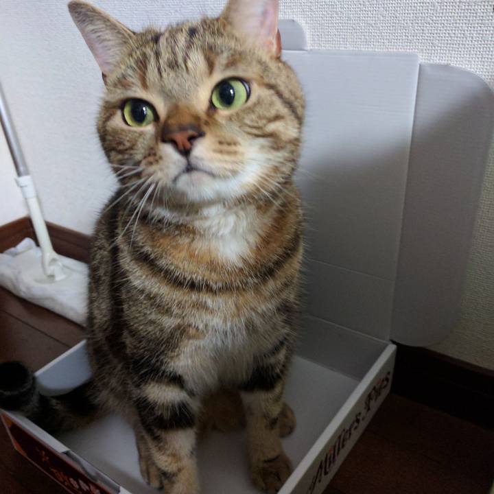 A381a4e5 c97c 4567 b475 4d35a626b814