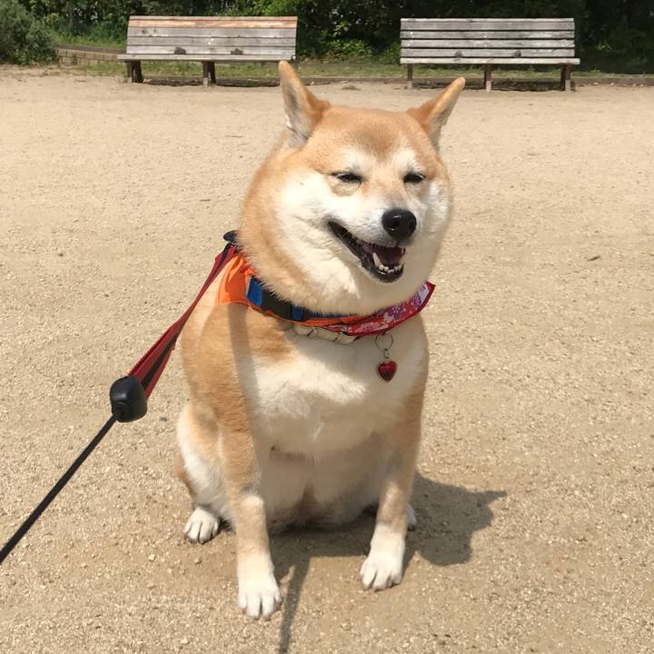 A382167d 39ef 4432 87cd d8cf932fbf8f