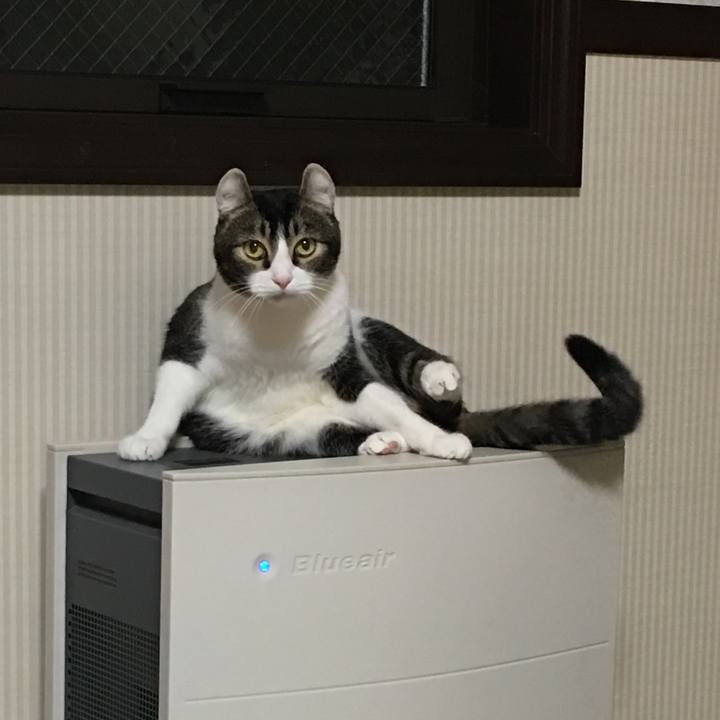 A38338d8 fdbb 4fd9 91a7 7057631e6e5a