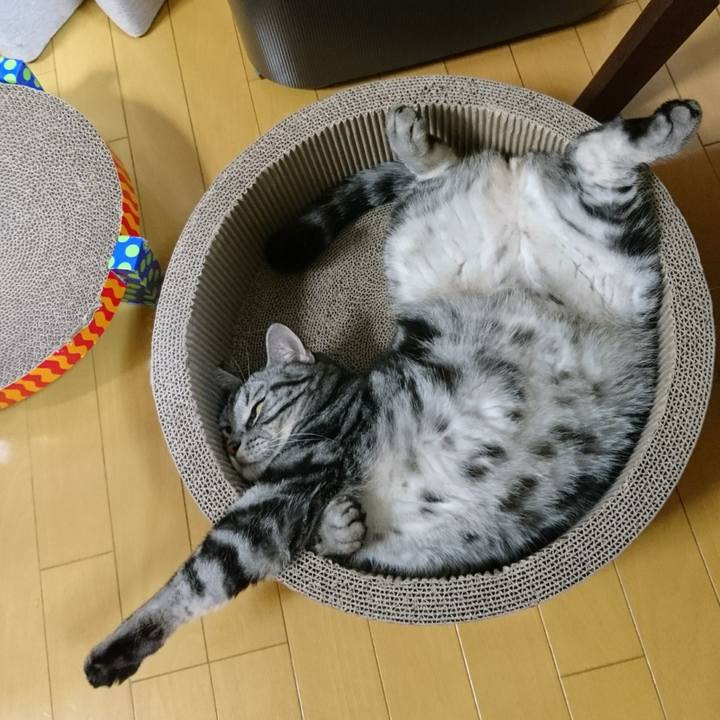 A3841747 4fc1 44e0 853e 8efee48d1c29