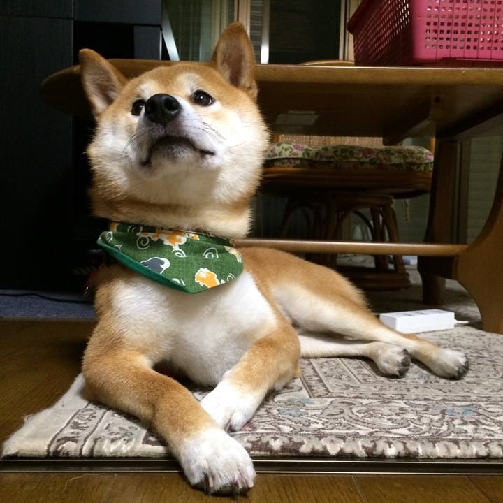 A384c5ae 6538 4647 a375 e3e3dcf2420a