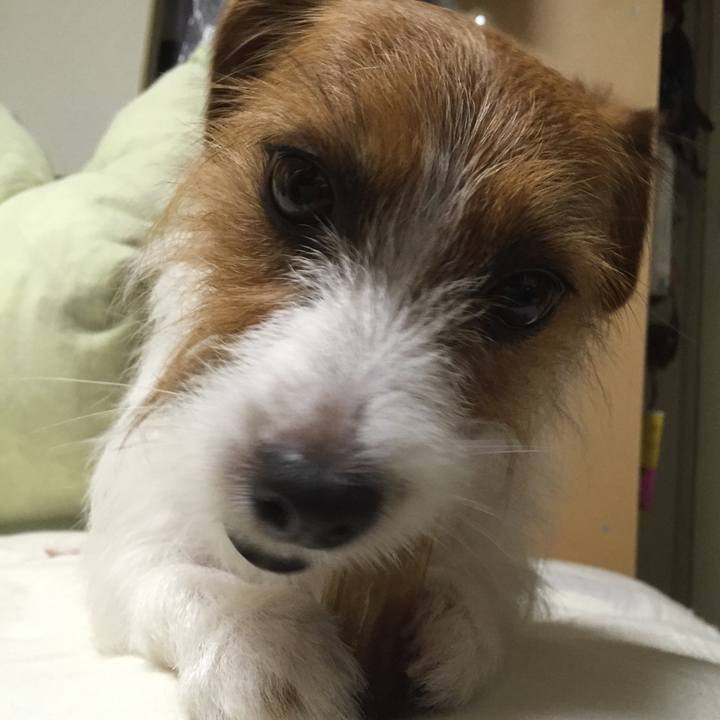 A385218e 3aad 41b9 8954 bd6b680e7ac5