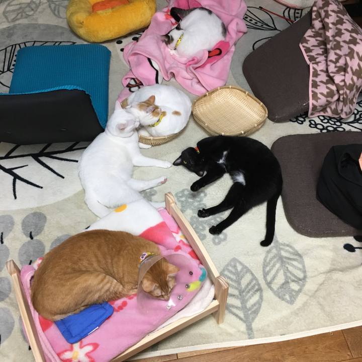 A38525fe 6cf3 4ac3 869d 260d88f9e92f