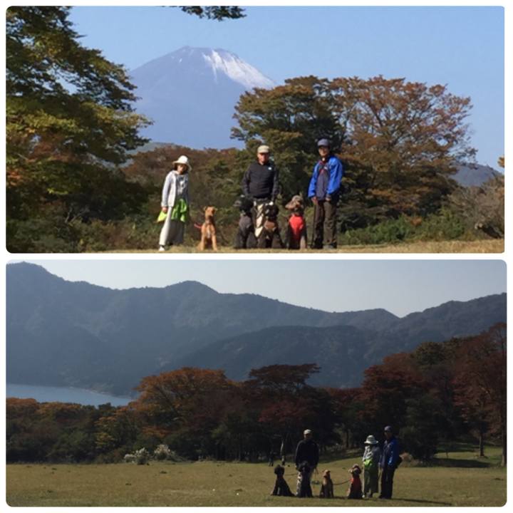 A3858791 30fc 4980 a90f 11e1ff88ed28