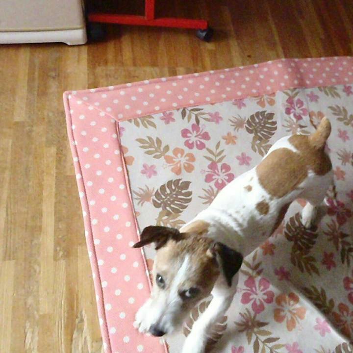 A385ac8d c8a5 4626 bd5c 638c71968998