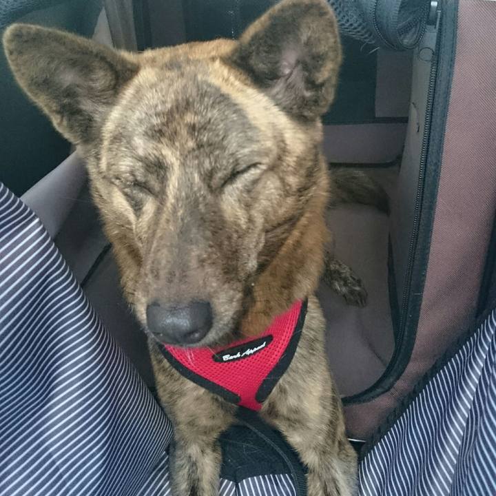 A386939c 4caa 4274 858b 0892a44f9bca