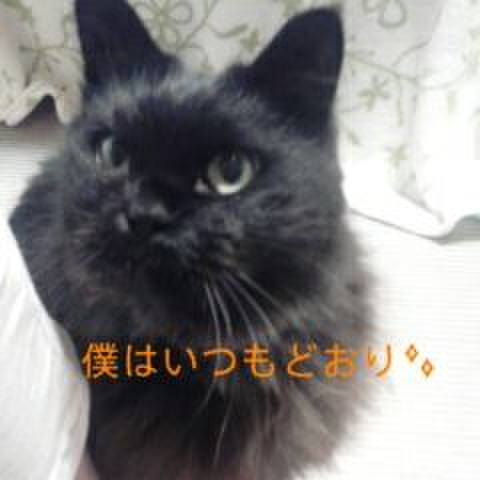 A3876a3d 9867 429a 9f46 a2dc71678ec8