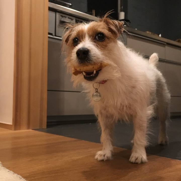 A388de8e a26f 4418 9445 364dcd742bf5