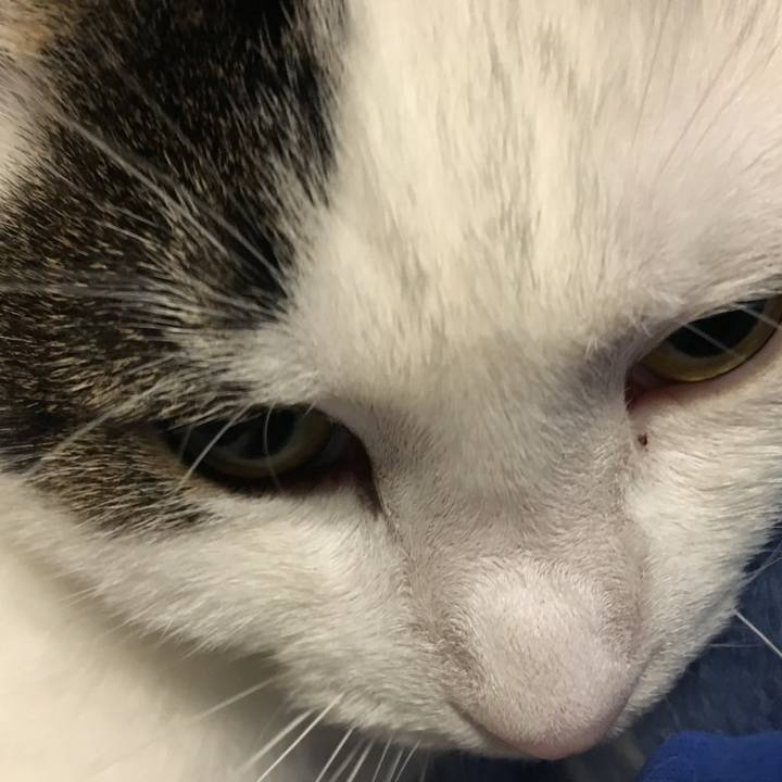 A389804f f1d5 49ca 8db6 84138a5d1ba0