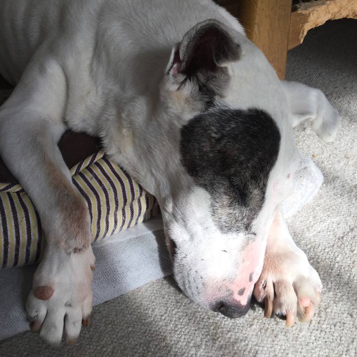 A38a4fdd 8287 4ad3 9a42 49b9bfbc4c28