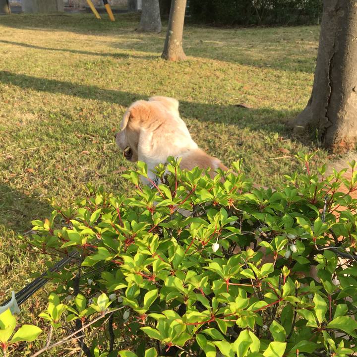 A38a59b7 86ed 44c8 a7e4 edb4a27f2d42