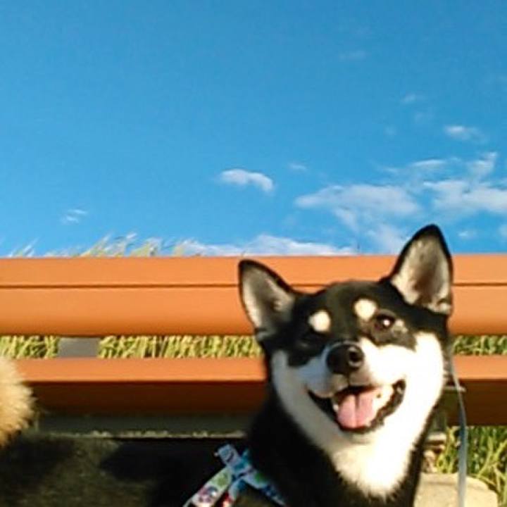 A38b5d72 cf11 4160 92ba 628276c7e94e