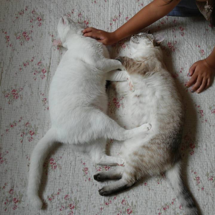 A38becfa 9a3d 4f77 bf24 8fd429da2d3d