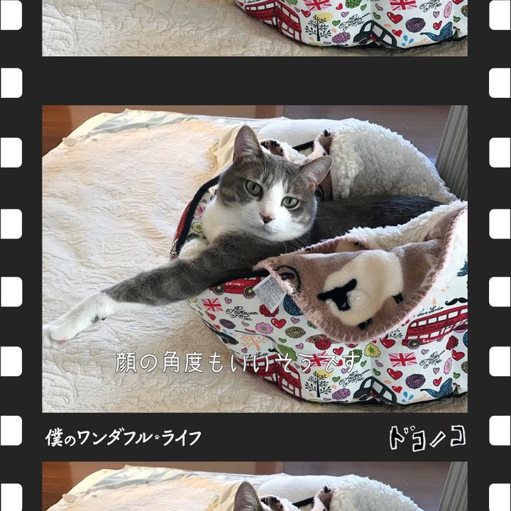 A38bf3e9 6664 45e0 af3d b40c96f48194