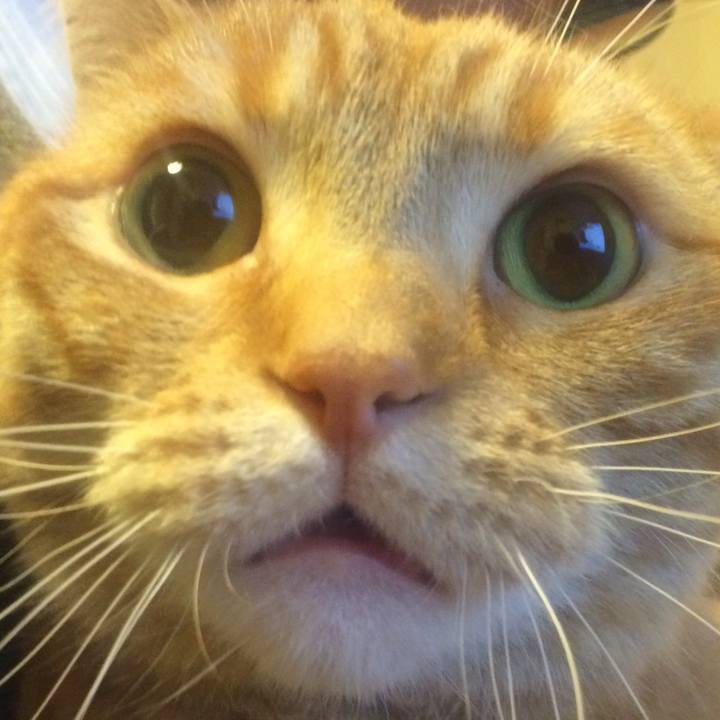 A38cbc0d 395b 4572 91c4 cfa4d7020cc9