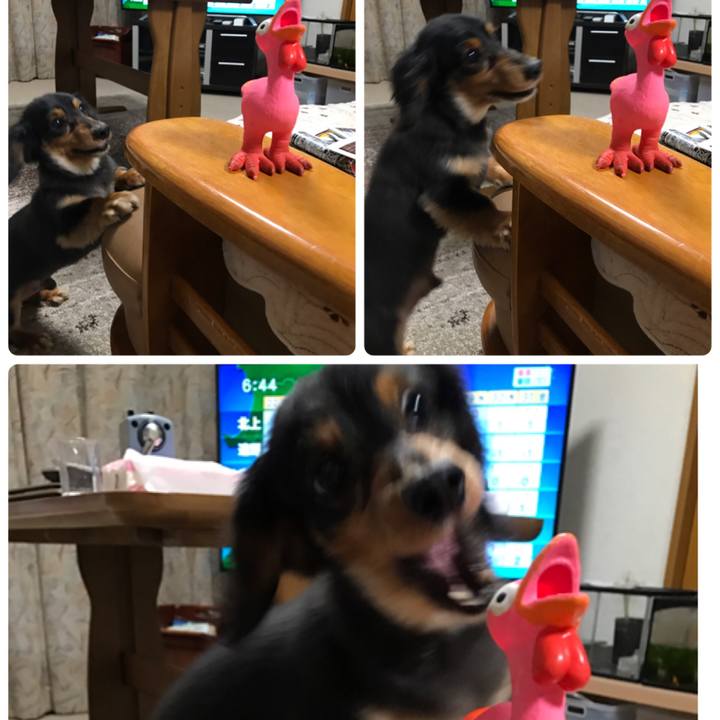 A38d3078 e5bf 4843 9dd4 912da35b16e8