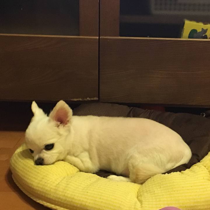 A38d5962 28eb 41b7 bbcb e8efcdf6b37f