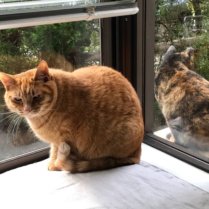 A38e78e9 7ada 4165 99f5 d9fc5792b9b9