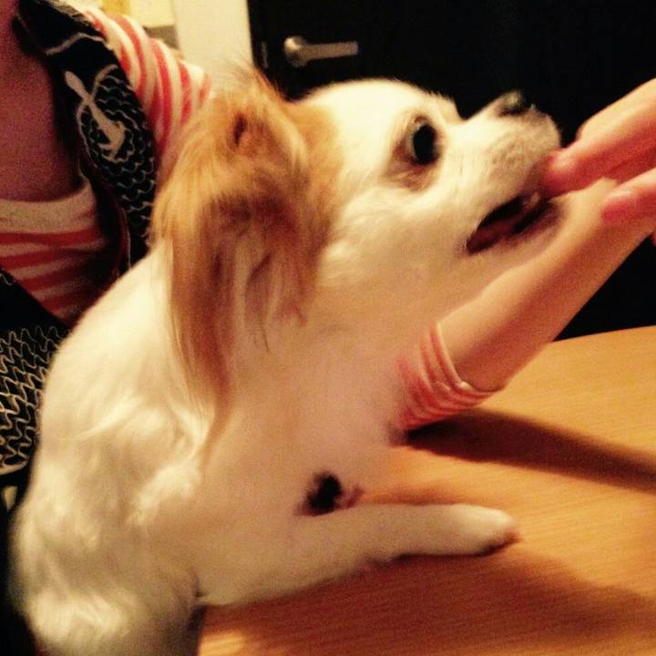 A38e9c6d 2b8d 4b1d 8667 b97643fc43bf