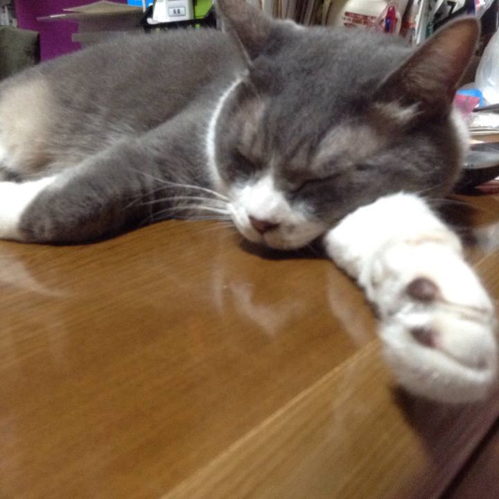 A38f04e7 75ad 4bd7 9abe a4d2a88e5e9d