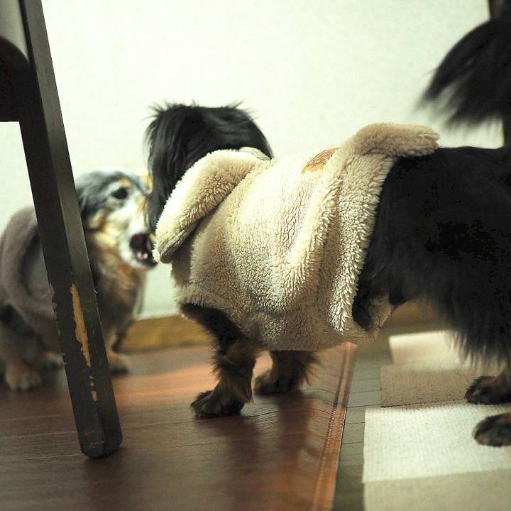 A38fbad7 1ec1 4843 9e7f 53d119ffffa6