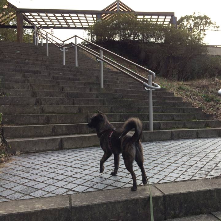 A38fc61e 503b 45a8 8446 012171718be0