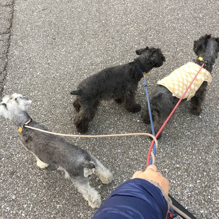 A38fc8d1 1730 4ee2 8879 718a5f9aa916