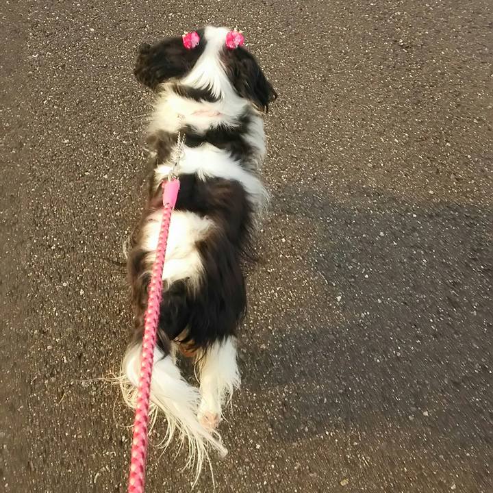 A38ff22a ab2f 472a aae6 5d8be17b827b