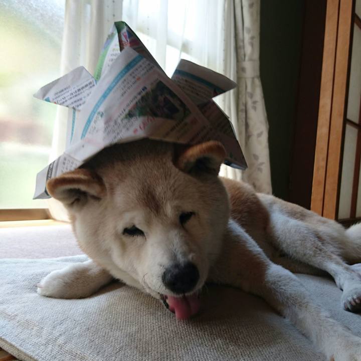 A3902701 e089 4968 8411 e029496a77d8